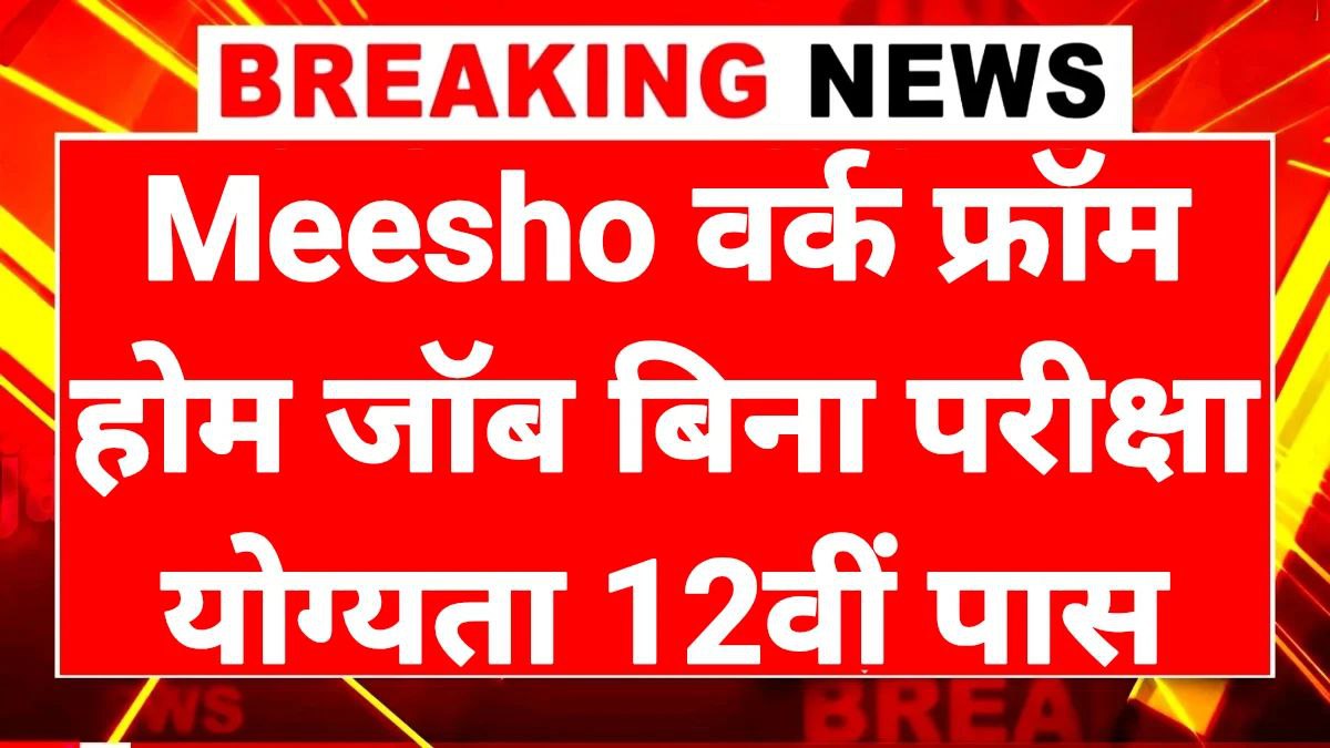 Meesho Work From Home