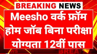 Meesho Work From Home